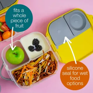 Mini Bento Lunchbox