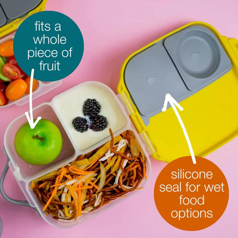Mini Bento Lunchbox